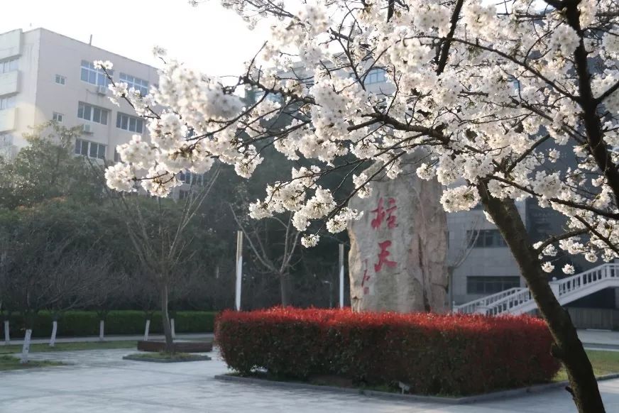 军校醉美春景国防科技大学电子对抗学院