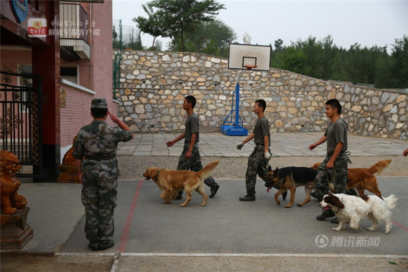 中国精兵第一期神犬奇兵