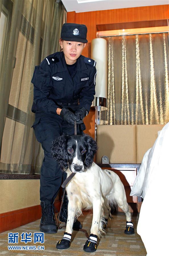 特殊"警探—走进北京市公安局警犬队