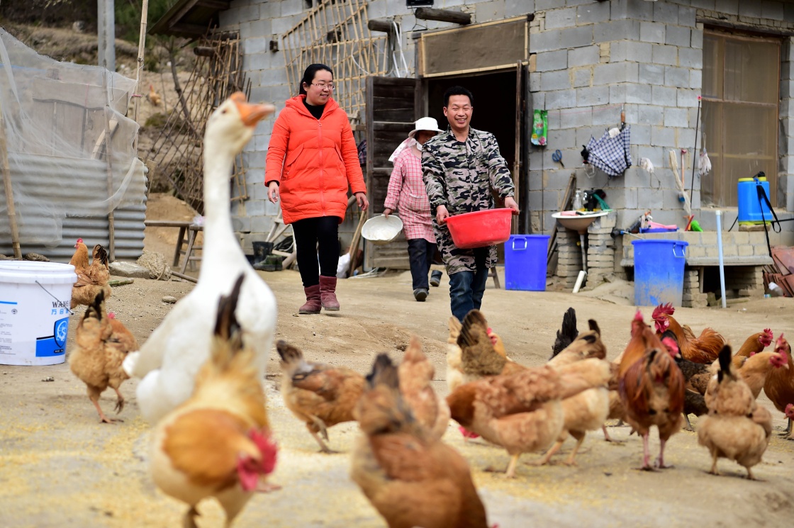 今年脱贫人口_我今年发育正常吗(2)