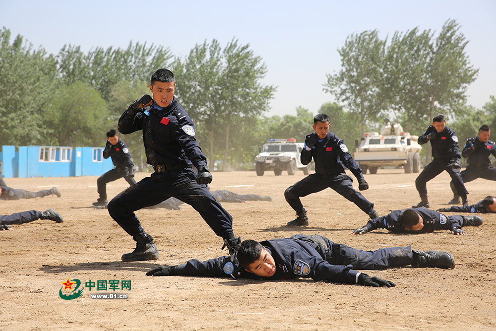 公安部常备维和警队纪念第15个国际维和人员日