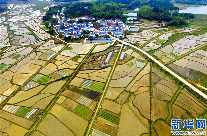 一些地方出现农民工返乡现象,还有些企业家在乡村振兴背景下赴农村