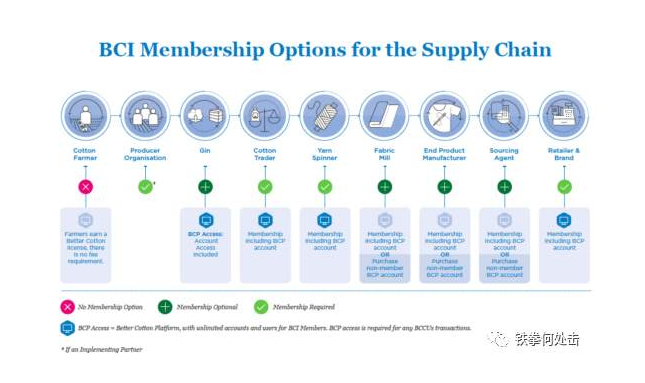 带头抵制新疆棉花的bci,究竟是个什么组织?