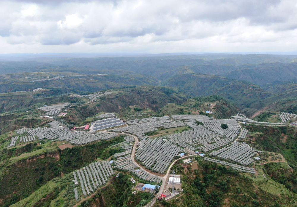 PG电子网址习的乡土情(图2)