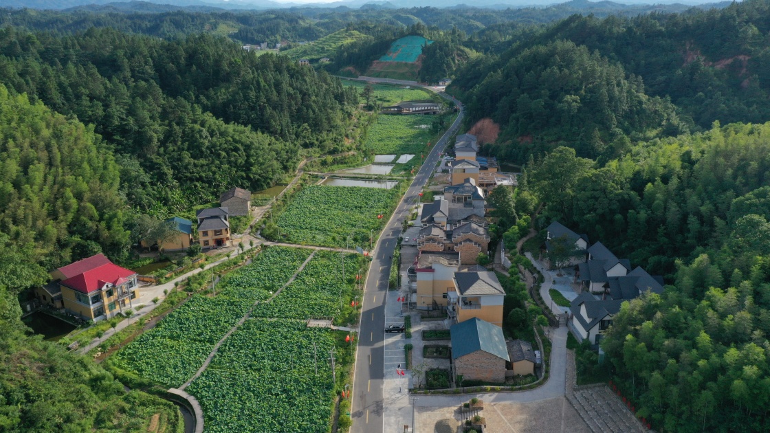 图片江西省井冈山市人武部通过开展红色旅游帮助龙市镇大仓村走上了