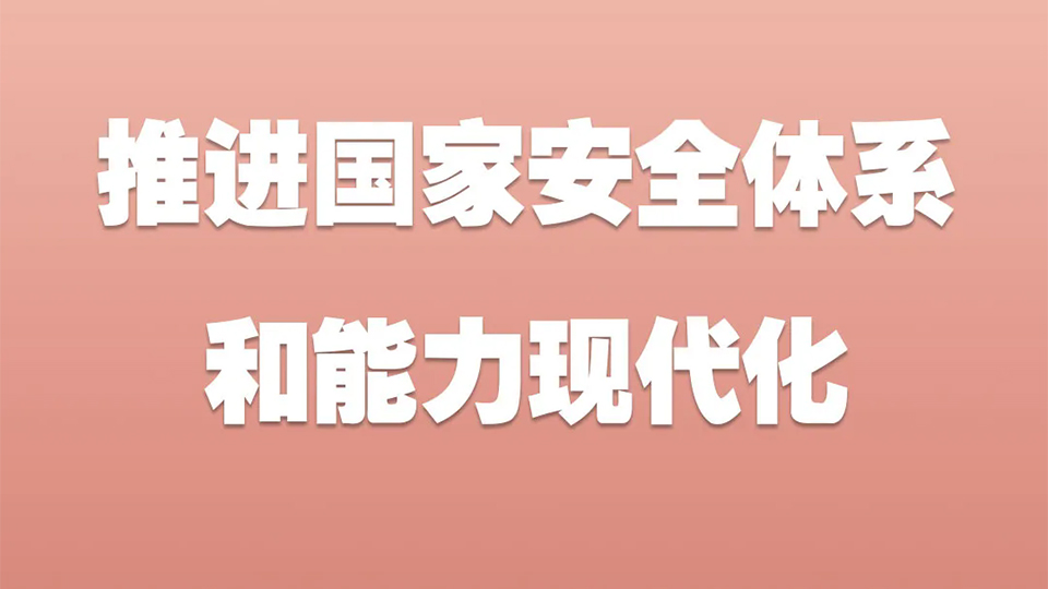 长图解码丨推进国家安全体系和能力现代化