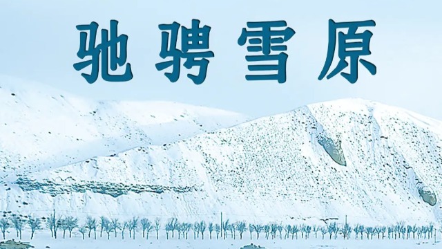 “换”醒战斗力丨驰骋雪原