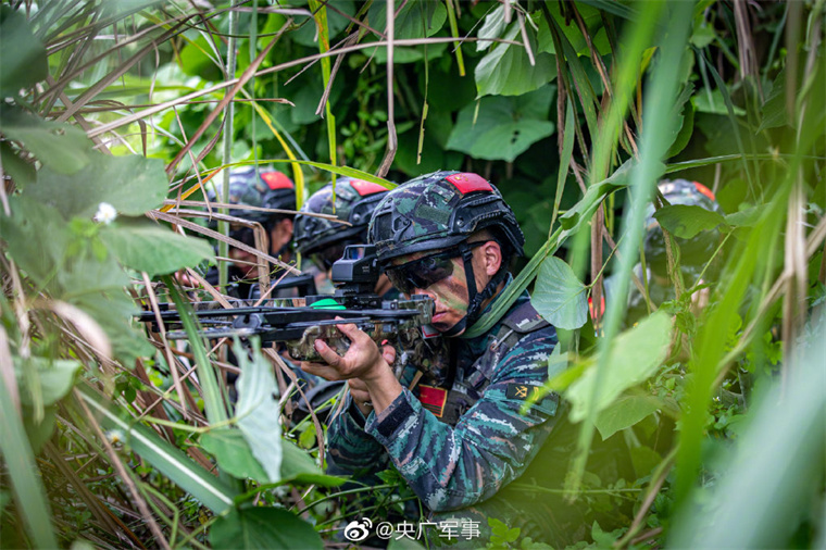 燃直击武警特战队员山林地捕歼战斗