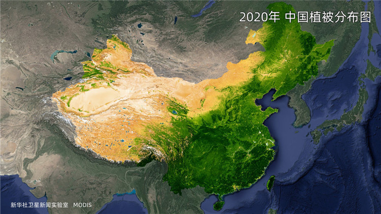 2000年中国植被分布图.(数据来源:modis)