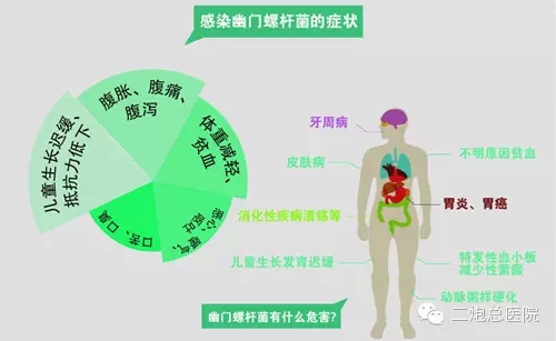 小细菌,大危害-幽门螺杆菌科普