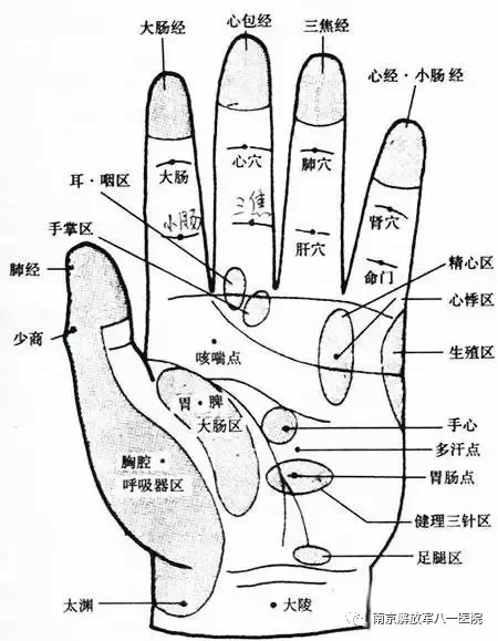 手部有多条经络巡行