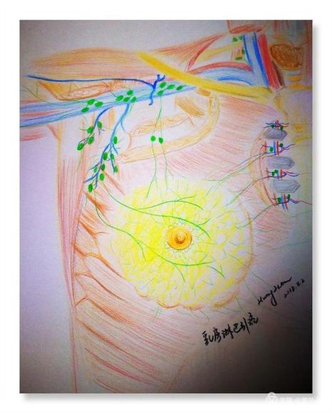 不健康,坚挺有何用?一份乳房自检手绘等你签收