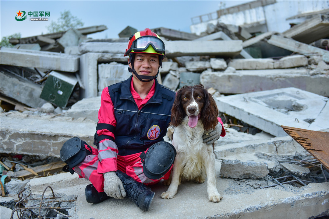 中国国际救援队成立20周年,搜救犬队的"汪星人"有话说