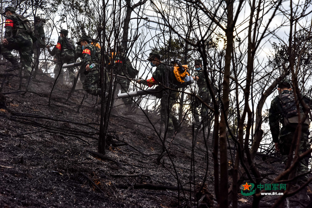 闻令而动!武警汕尾支队圆满完成扑救山火任务